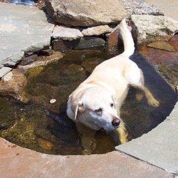 Water Features : Ponds, Waterfalls & Fountains