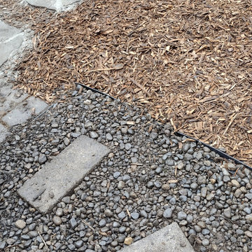 Regina's Dog-Friendly Yard