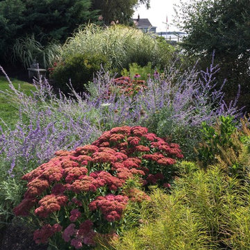 Pollinator and Rain Gardens