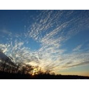 Daisey Huff-Dailey's photo
