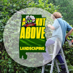 A Kut Above Landscaping