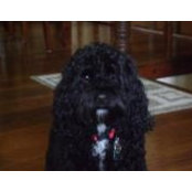 John Dietrick's photo