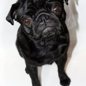 Ludo Gallagher's photo
