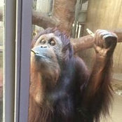 Sarah Upham's photo