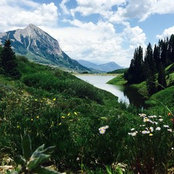 Carol Pierings billede