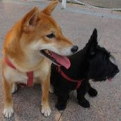 Carlos Chang's photo