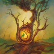 Ivy Cannon's photo