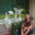 Artistic Wall Expressions