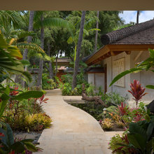 Tropical