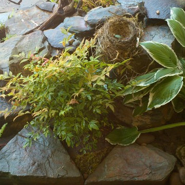 Vancouver Rain Garden Patio & Water Feature