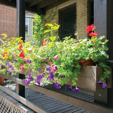 Window Boxes & Planters