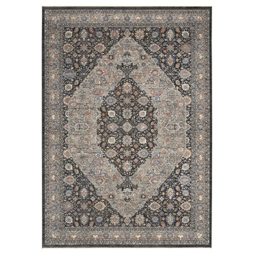 Nourison Starry Nights Stn11 Traditional Rug, Gray and Blue, 9'10"x12'6"