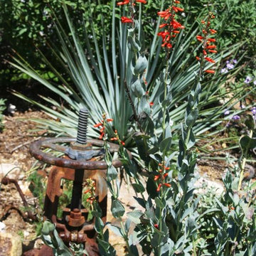 2018 Native Plant Garden Tour