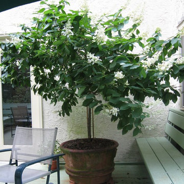 Tropical Containers