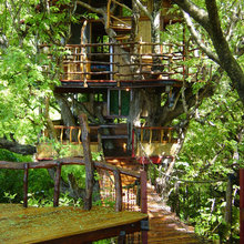 Treehouse