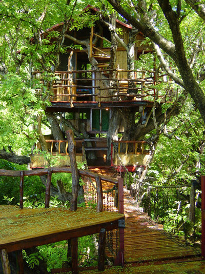 Treehouses