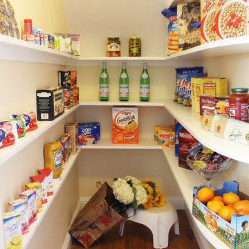 Revitalized Retro Kitchen Pantry