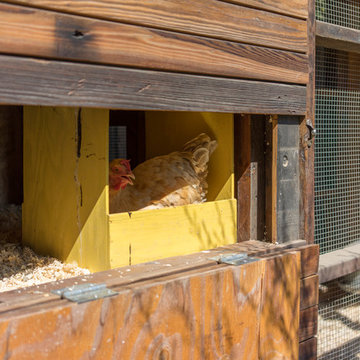 My Houzz: An Edible Backyard in an Eichler Home