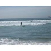 Wendy Smith's photo