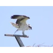 Donald Humphreys's photo