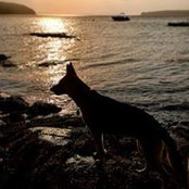 Tieka Haynes's photo