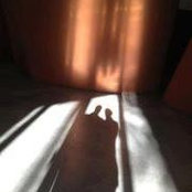 Richard Risner's photo
