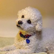 Pat Shiner's photo