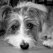 Foto von Carrie Fehrenbach