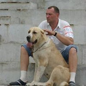Виталий Спичак's photo
