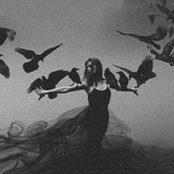 Ivy Hurt's photo