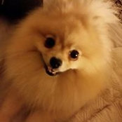 Tenea Melton's photo