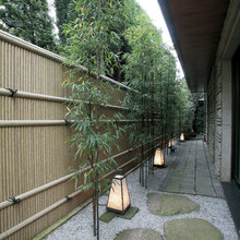 Betonwand