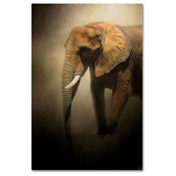 Jai Johnson 'The Elephant Emerges' Canvas Art, 47 x 30