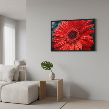 After the Rain Gerbera Daisy Photorealistic Modern Style Wall Art