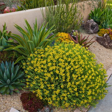 Plants We Love
