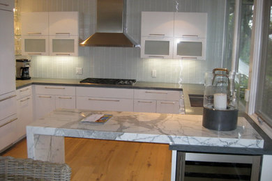 Kitchen - contemporary kitchen idea in Santa Barbara
