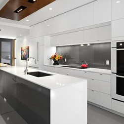Contemporary Kitchen Cabinets - Products