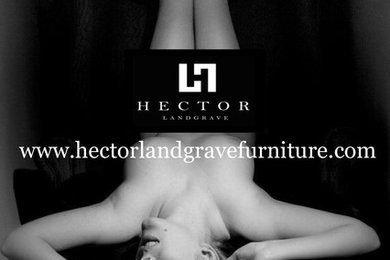 www.hectorlandgravefurniture.com
