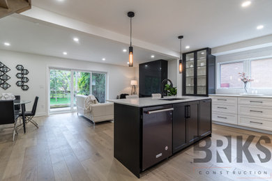 Kitchen - contemporary kitchen idea in Toronto