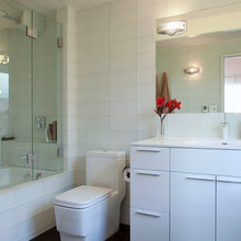Master Bathroom Shower Reno