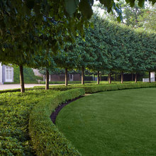 Landscape Ideas
