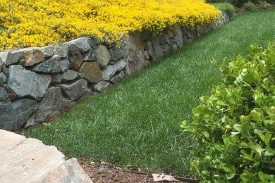 Inspiration for a modern landscaping in Sacramento.