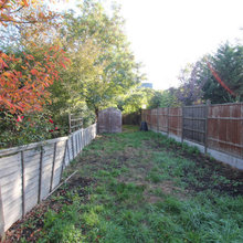 Backyard Landscaping