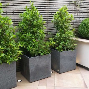 Contemporary courtyard triangular shaped garden