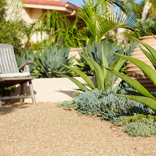 Waterwise Coutryard