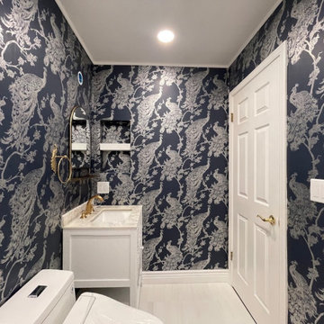 Danville Guest Bathroom remodel