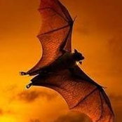 Mary Archambault's photo