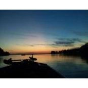 Jeff Thomas's photo
