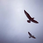 Jo Chu's photo