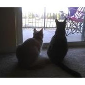 Robin Sharp's photo